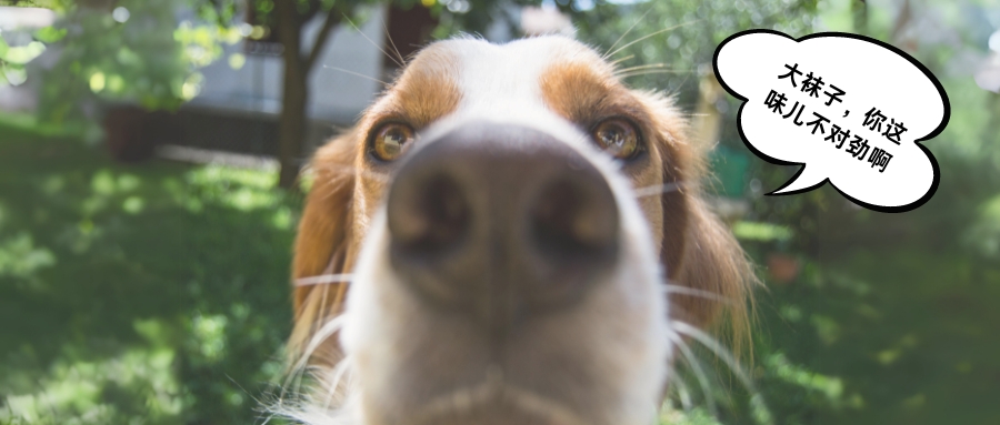 你這味兒有(yǒu)點不對勁啊？