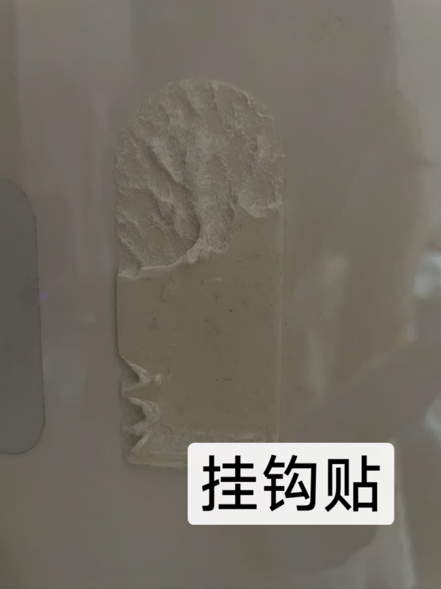 微信圖片_20241122124944 微信圖片_20241122124944