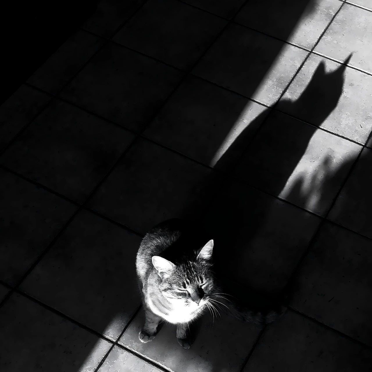 a2522a0b1c00517a1c6a64b47de6268c